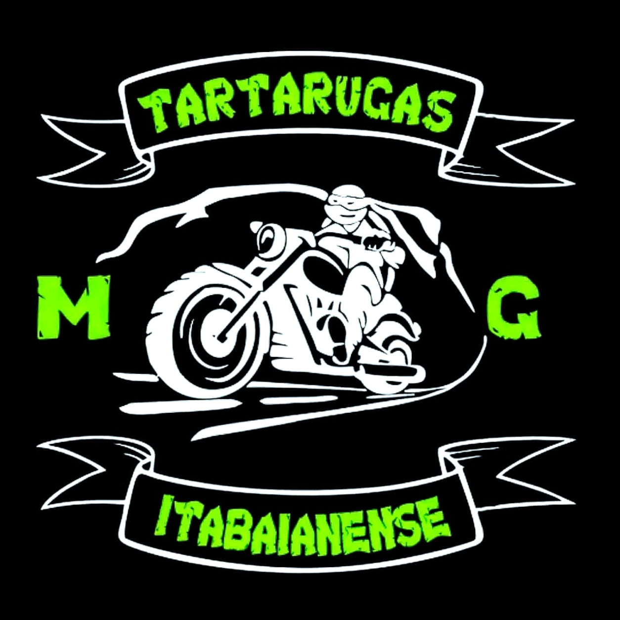 Tartarugasitabaianenses